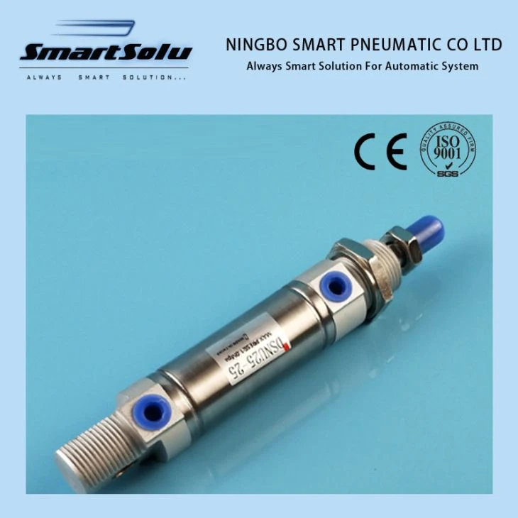 DSNU cylinder 3